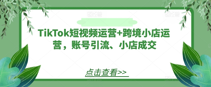 TikTok短视频运营+跨境小店运营，账号引流、小店成交-易创网
