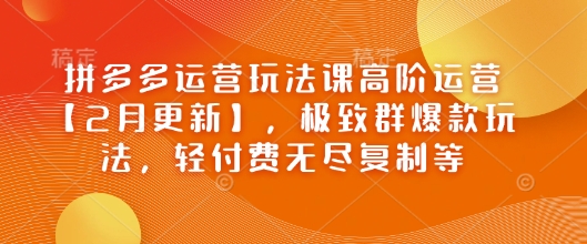 拼多多运营玩法课高阶运营【2月更新】，极致群爆款玩法，轻付费无尽复制等-云创网