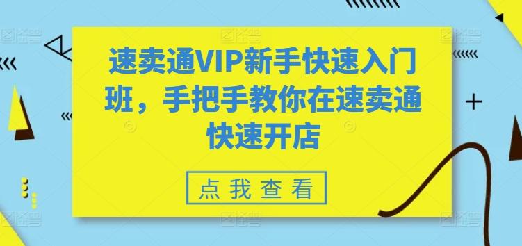 速卖通VIP新手快速入门班，手把手教你在速卖通快速开店网赚项目-副业赚线-互联网创业-资源整合易创网