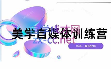 安娜·美学自媒体IP系统课-易创网