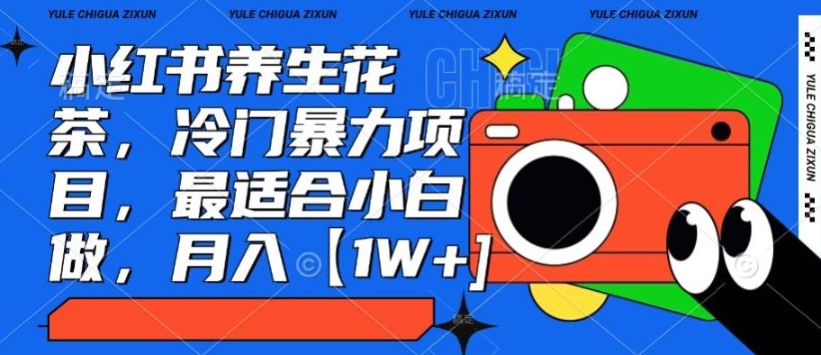 小红书养生花茶，冷门暴力项目，最适合小白做，月入【1W+】-易创网