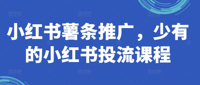 小红书薯条推广，少有的小红书投流课程网赚项目-副业赚线-互联网创业-资源整合易创网