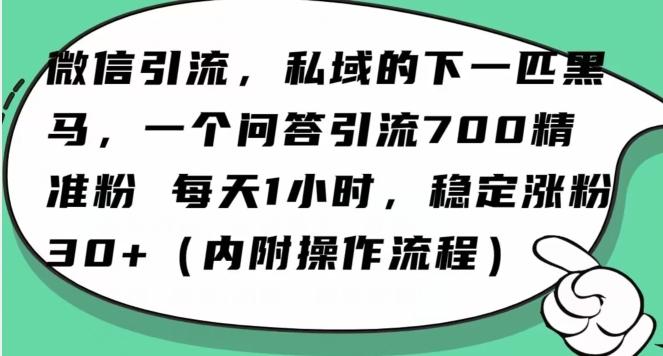 怎么搞精准创业粉？微信新赛道，每天一小时，利用Ai一个问答日引100精准粉网赚项目-副业赚线-互联网创业-资源整合易创网