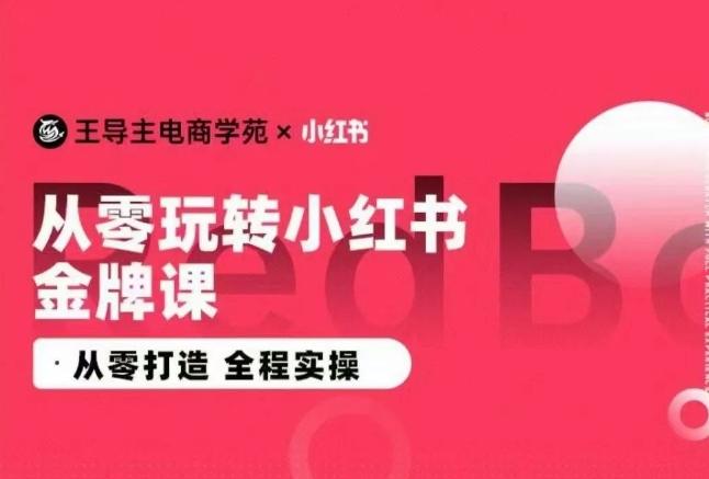 王导主·小红书电商运营实操课，​从零打造  全程实操-易创网