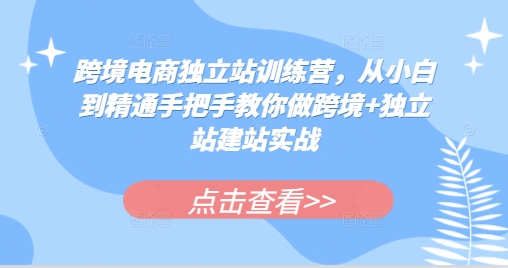 跨境电商独立站训练营，从小白到精通手把手教你做跨境+独立站建站实战-易创网