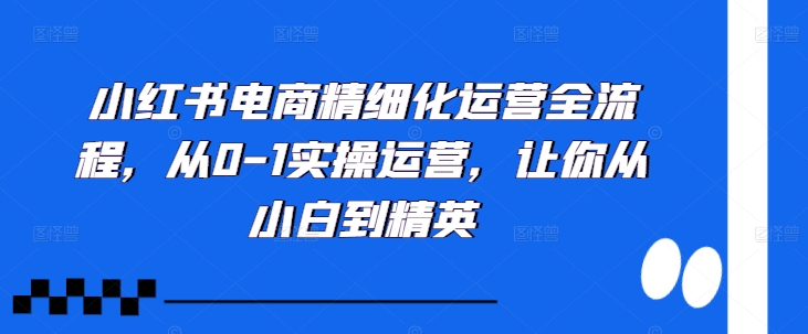 小红书电商精细化运营全流程，从0-1实操运营，让你从小白到精英-易创网