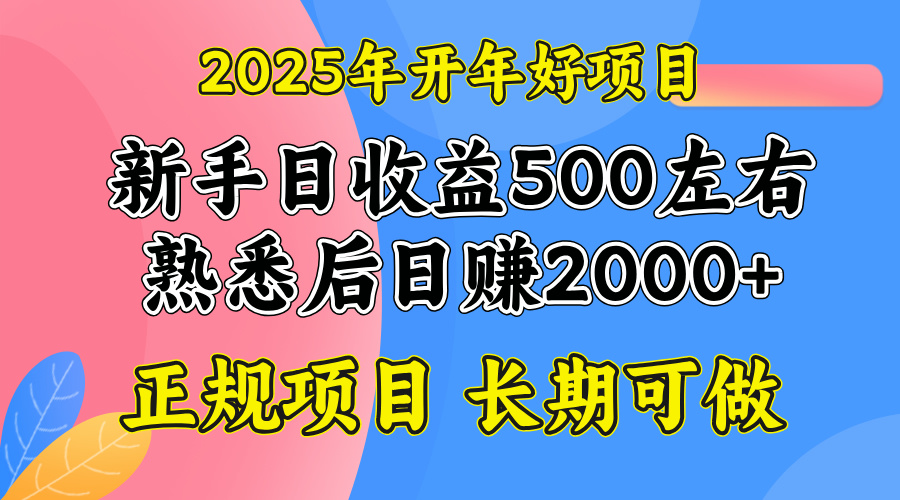 2025开年好项目，单号日收益2000左右-易创网