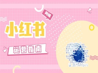 小红书运营指南，没有套路，全是经验-云创网