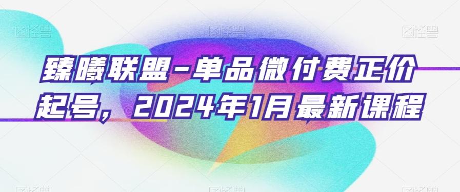 臻曦联盟-单品微付费正价起号，2024年1月最新课程网赚项目-副业赚线-互联网创业-资源整合易创网