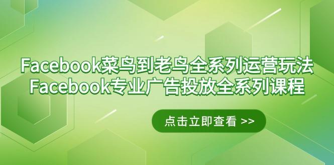 Facebook-菜鸟到老鸟全系列运营玩法+Facebook-专业广告投放全系列课程-易创网
