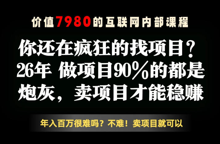 26年请不要疯狂的找项目了，卖项目远比你想象的暴利，你也可以月入10W+【揭秘】-易创网