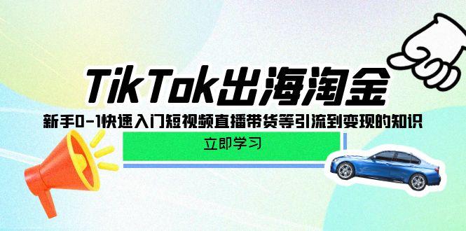(10035期)TikTok-出海淘金，新手0-1快速入门短视频直播带货等引流到变现的知识-易创网