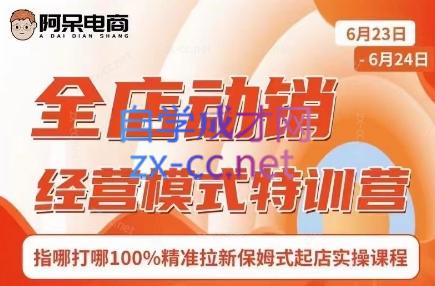 阿呆电商·全店动销经营模式特训营(线下录音+思维导图)-易创网