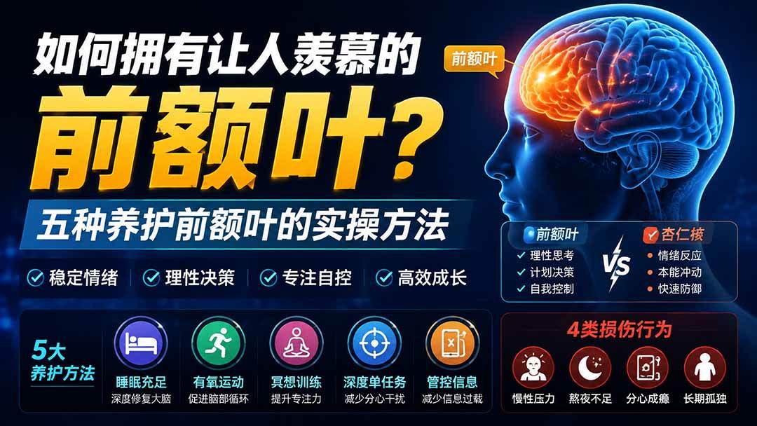 （19805期）付费文章：如何拥有让人羡慕的前额叶？五种养护前额叶的实操方法-易创网