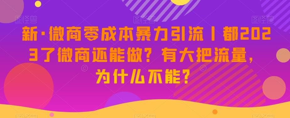 新·微商零成本暴力引流丨都2023了微商还能做？有大把流量，为什么不能？-易创网