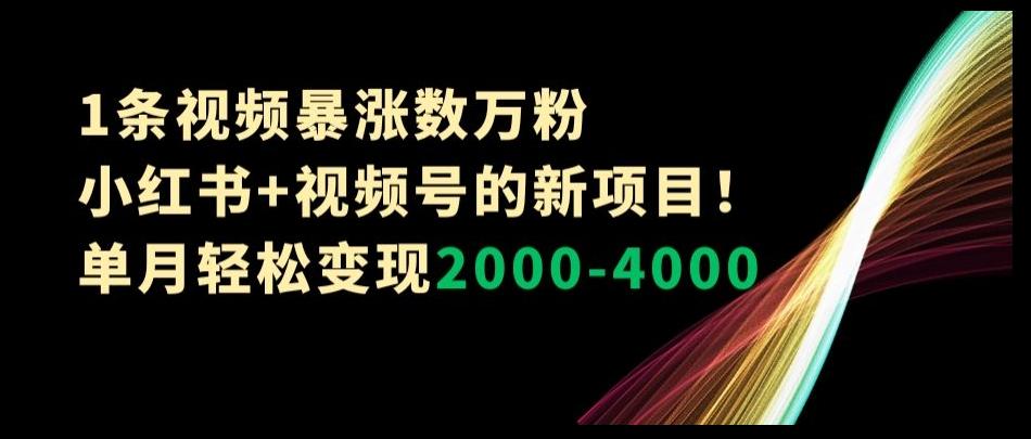1条视频暴涨数万粉--小红书+视频号的新项目！单月轻松变现2000-4000【揭秘】网赚项目-副业赚线-互联网创业-资源整合易创网