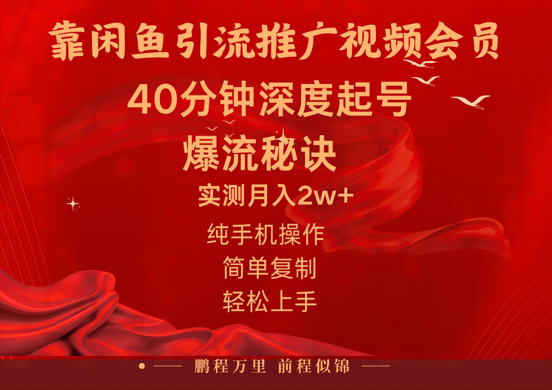 闲鱼暴力引流推广视频会员，能做到日入2W+，操作简单-易创网