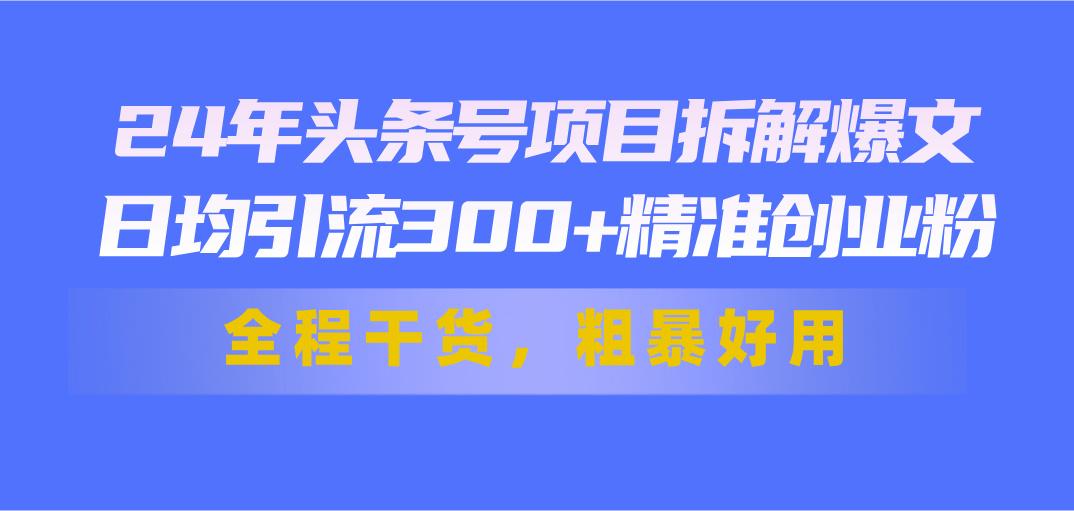 24年头条号项目拆解爆文，日均引流300+精准创业粉，全程干货，粗暴好用-云创网