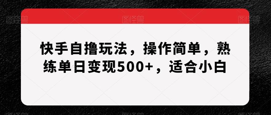 快手自撸玩法，操作简单，熟练单日变现500+，适合小白【揭秘】-易创网