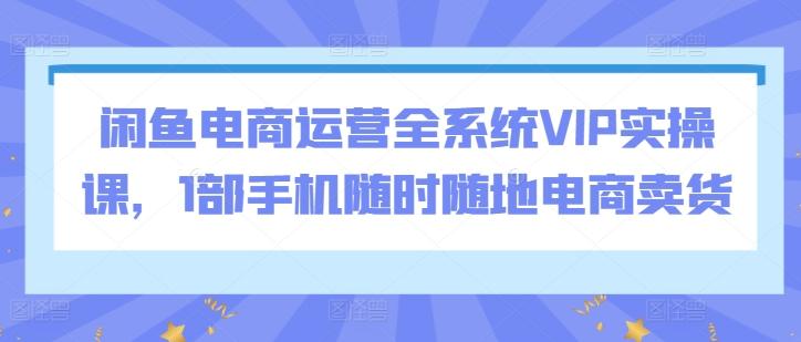 闲鱼电商运营全系统VIP实操课，1部手机随时随地电商卖货-易创网