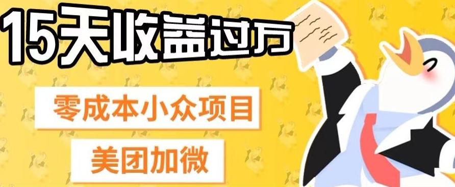 零成本小众项目，美团加微，一单4.5+，15天已经有人赚上万收益-易创网