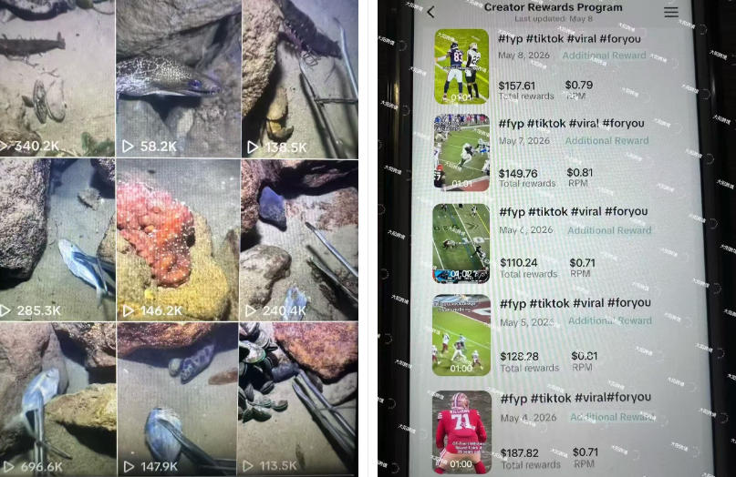 Tiktok中视频解说教程，体育+温情文案双赛道实操教程一站式带你落地，教你出海賺美刀-易创网
