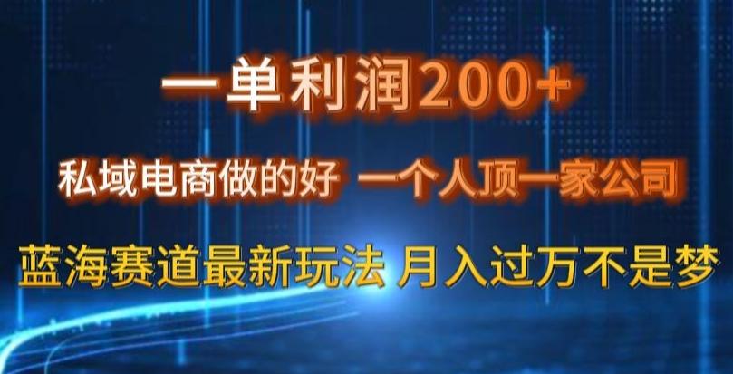 一单利润200私域电商做的好，一个人顶一家公司蓝海赛道最新玩法【揭秘】网赚项目-副业赚线-互联网创业-资源整合易创网
