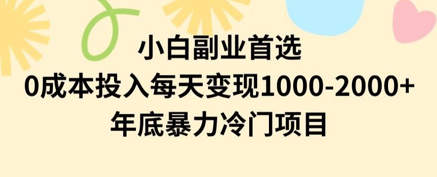 小白副业首选，0成本投入，每天变现1000-2000年底暴力冷门项目【揭秘】-易创网