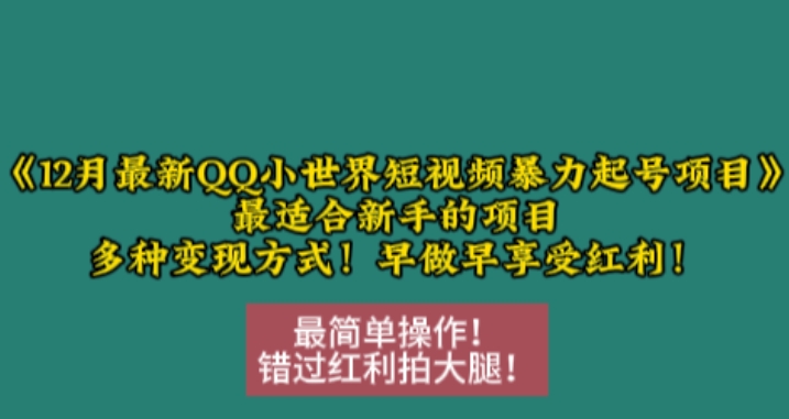 12月最新QQ小世界短视频暴力起号项目，最适合新手的项目，多种变现方式-易创网