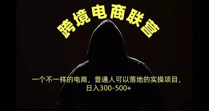 跨境电商联营，一个不一样的电商，普通人可操作日入300-500+-易创网