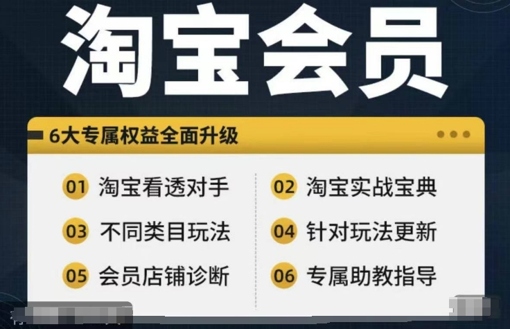 淘宝会员【淘宝所有课程，全面分析对手】，初级到高手全系实战宝典-云创网