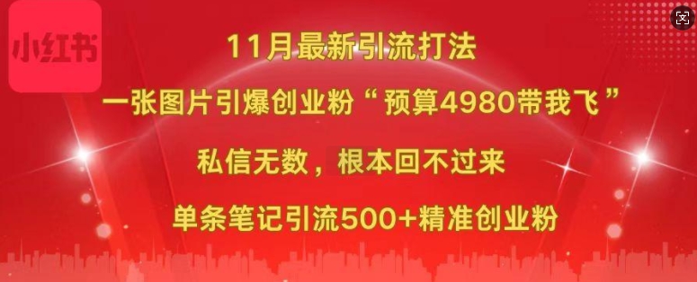 小红书11月最新图片打粉，一张图片引爆创业粉，“预算4980带我飞”，单条引流500+精准创业粉-云创网