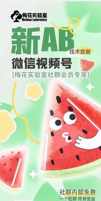 梅花实验室2024年AB技术视频号AB合成破解版-云创网