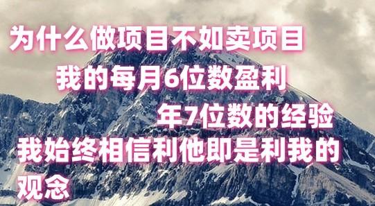 做项目不如卖项目，每月6位数盈利，年7位数经验网赚项目-副业赚线-互联网创业-资源整合易创网