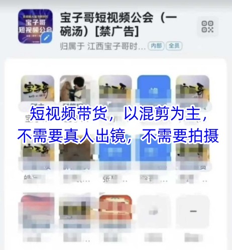 宝子哥头部团队短视频带货，以混剪为主，不需要真人出镜，不需要拍摄【更新26年3月】-易创网
