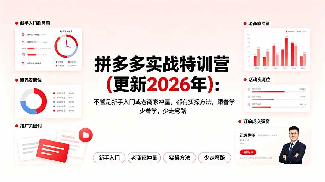 （19291期）拼多多实战特训营(更新2026年)：不管是新手入门或老商家冲量，都有实操方法，跟着学，少走弯路-易创网