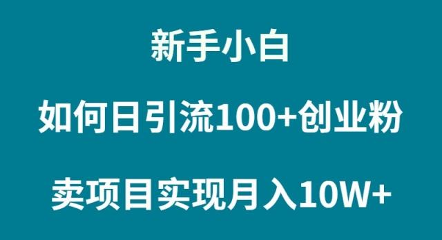 (9556期)新手小白如何通过卖项目实现月入10W+网赚项目-副业赚线-互联网创业-资源整合易创网