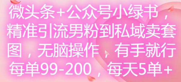 微头条+公众号小绿书，精准引流男粉到私域卖套图，无脑操作，有手就行，每单99-200，每天5单-云创网