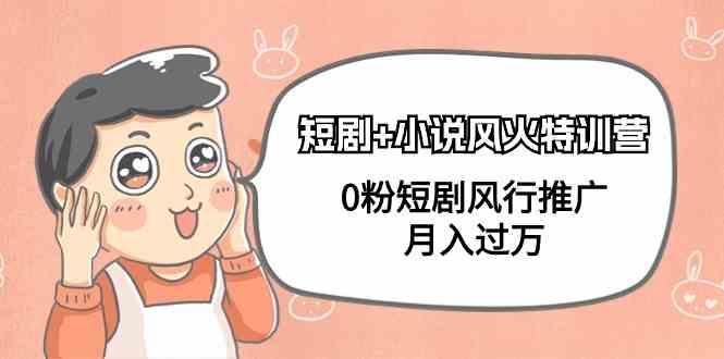 小说+短剧风火特训营，0粉短剧小说风行推广，实现月入过万-易创网